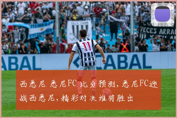 西悉尼 悉尼FC 比分预测,悉尼FC迎战西悉尼,精彩对决谁将胜出