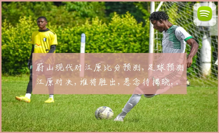 蔚山现代对江原比分预测,足球预测江原对决,谁将胜出,悬念待揭晓,。
