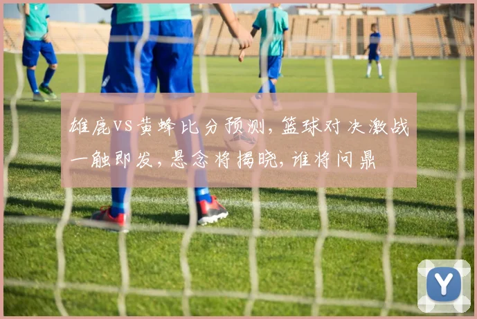 雄鹿vs黄蜂比分预测,篮球对决激战一触即发,悬念将揭晓,谁将问鼎