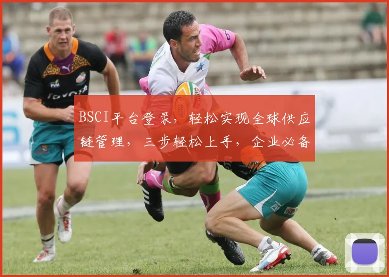 BSCI平台登录，轻松实现全球供应链管理，三步轻松上手，企业必备